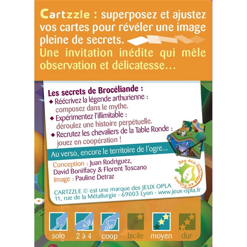 Cartzzle Brocéliande illimitable – Image 3