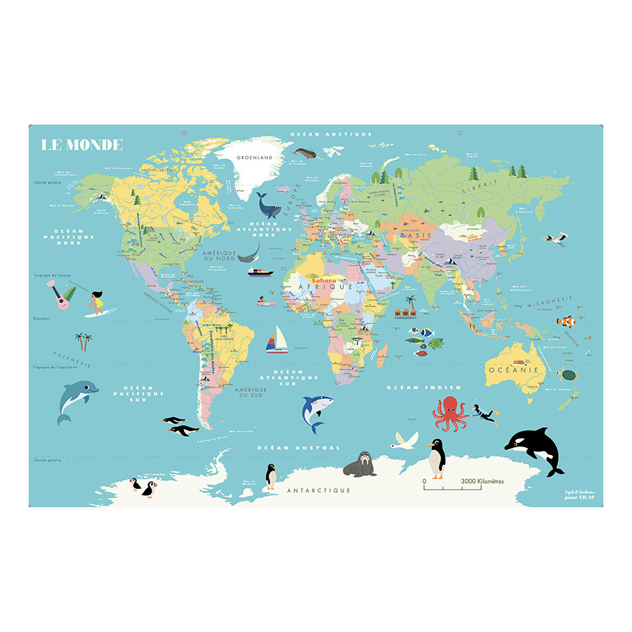 Carte du Monde magnétique Ingela P.Arrhenius – Vilac – Image 2